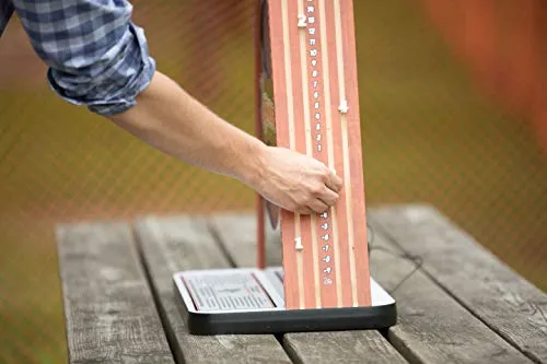A-Holes Bean Bag Toss Game