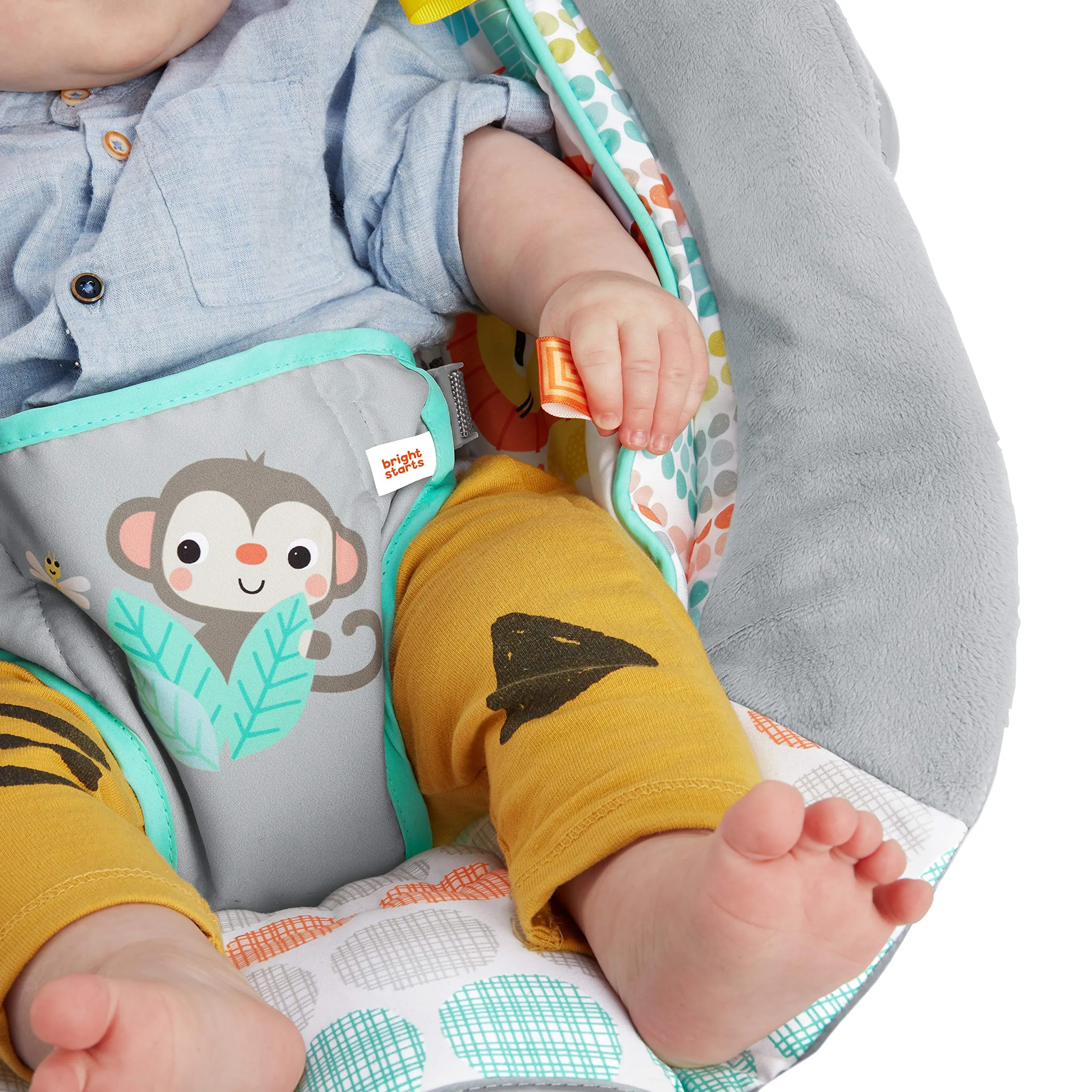 Bright Starts Whimsical Wild Cradling Bouncer