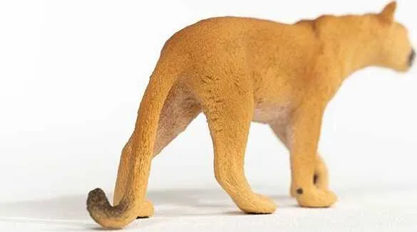 Cougar