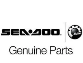 Sea-Doo New OEM, 295101014-1