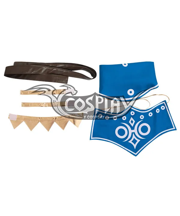 The Legend of Zelda: Breath of the Wild Female Zelda Link Gerudo Outfit Cosplay Costume